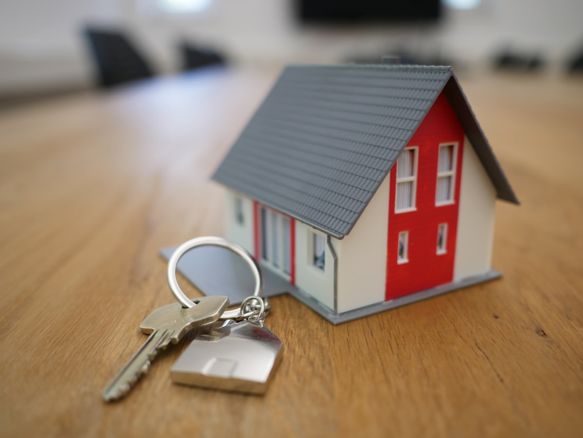 A new home in New Zealand